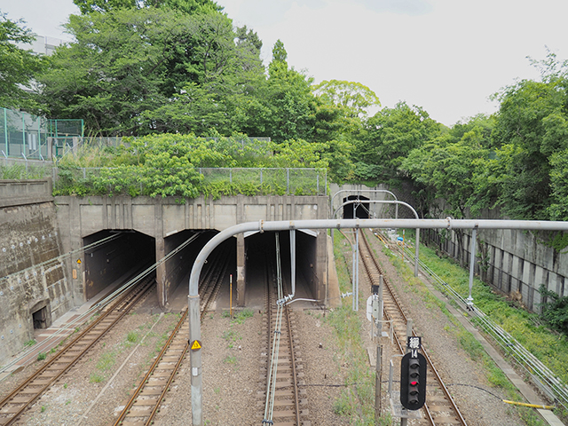 ���̺��NO.433��3+