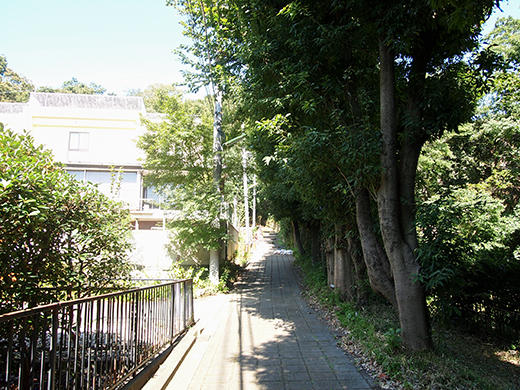 おんな坂(NO.254)7