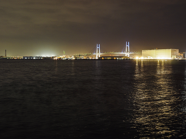 ͡फγʡʤȤ볹3341