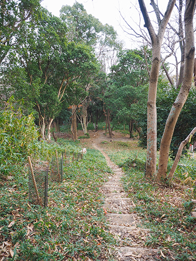 ��ƻ�ֵ���ƻ�פ��л�ƻ���⤤�Ƥߤ�_����2_7