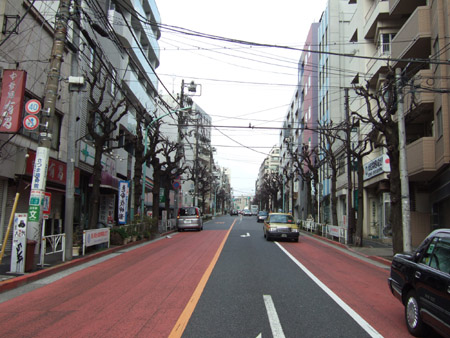 とある街の風景(八幡坂)3