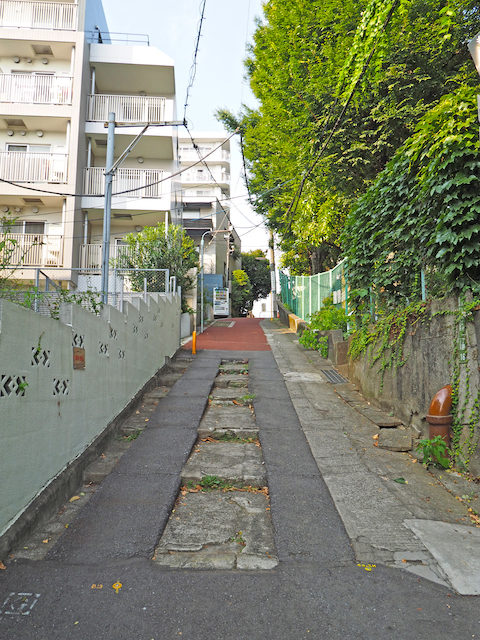 ���ۻܺ��NO.551��2