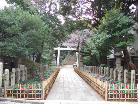 ɹ��� (NO.127) 3