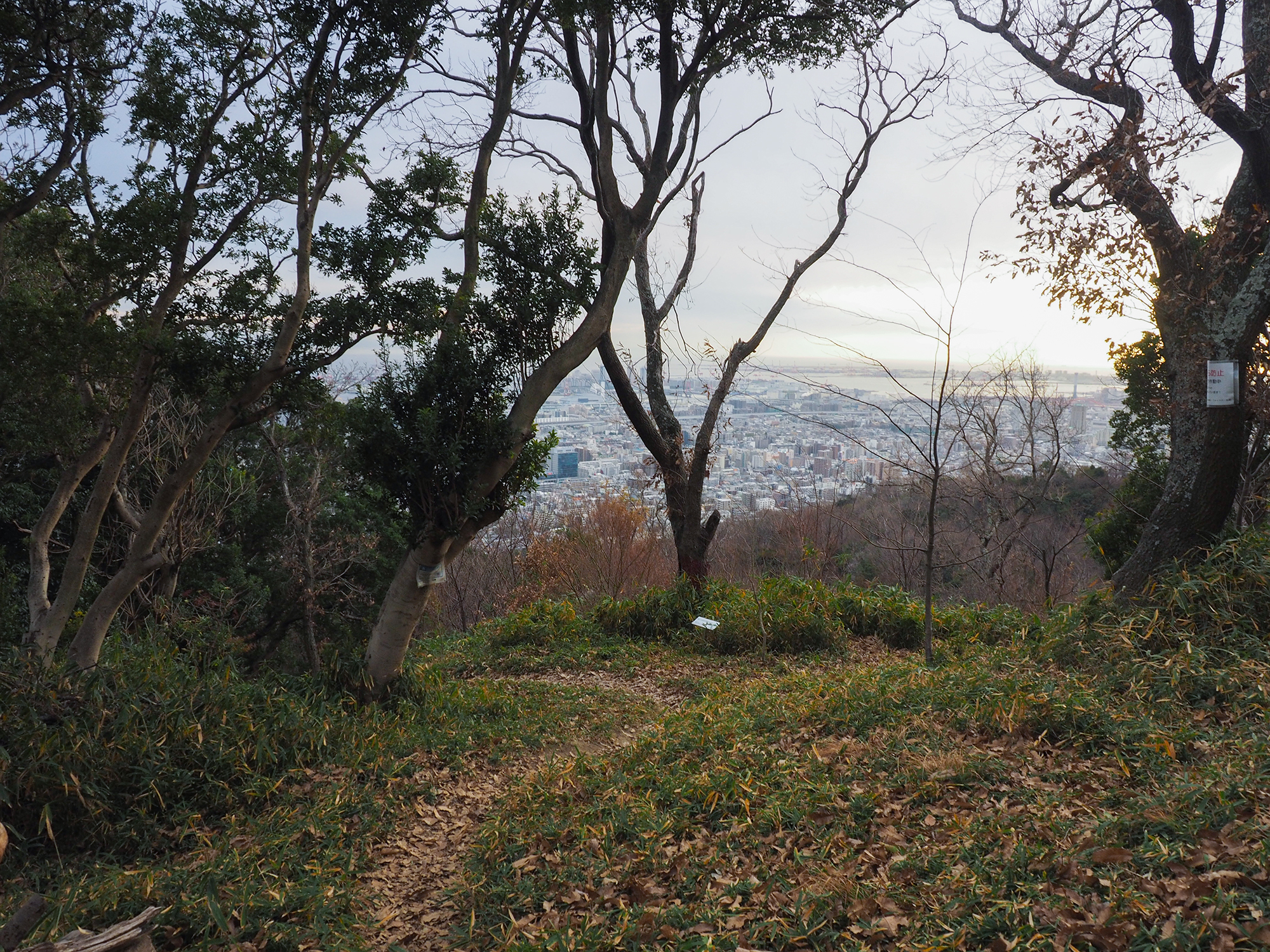 ��ƻ�ֵ���ƻ�פ��л�ƻ���⤤�Ƥߤ�_����2_8