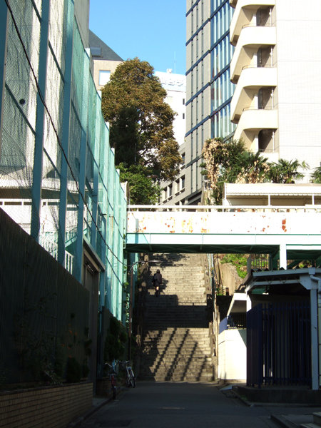 男坂(NO.218)5