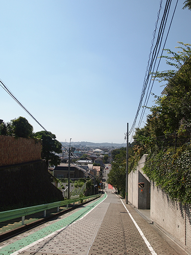 ���ܻ����ܤκ� [����ٻθ���]��NO.257��8