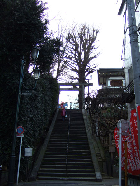 ŷ���к�(NO.186)1