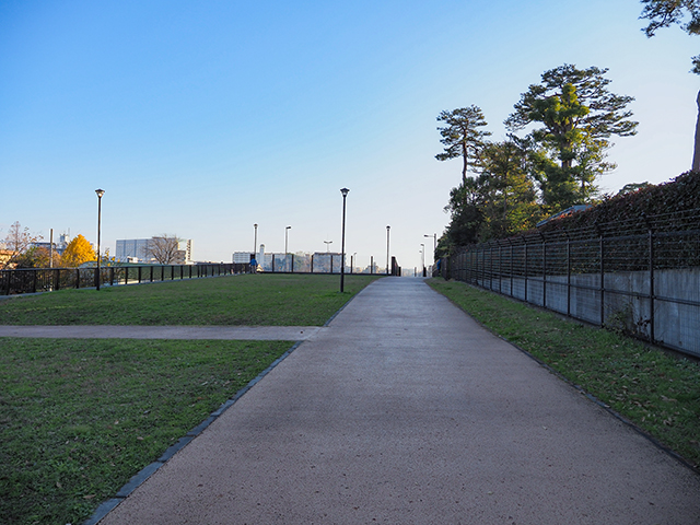 ��������ٿ��Ҳ��γ��ʤ�����������4