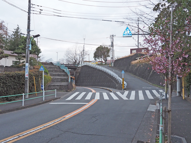 都立東大和公園よこの湖畔通りの坂道3