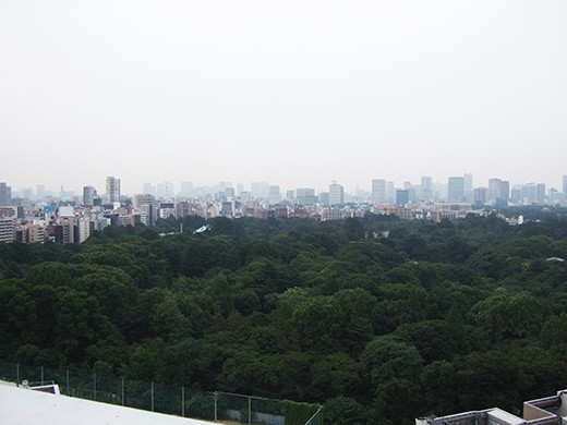 ���ɥ����ॺ������������ι�Ω������2