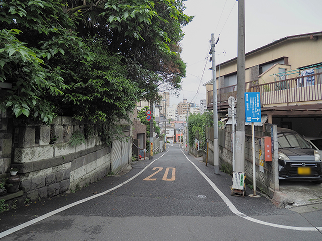 ������NO.495��2+