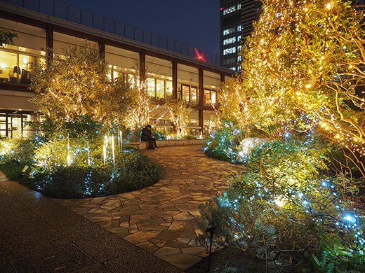 ���ɹ��粰�β������।���1