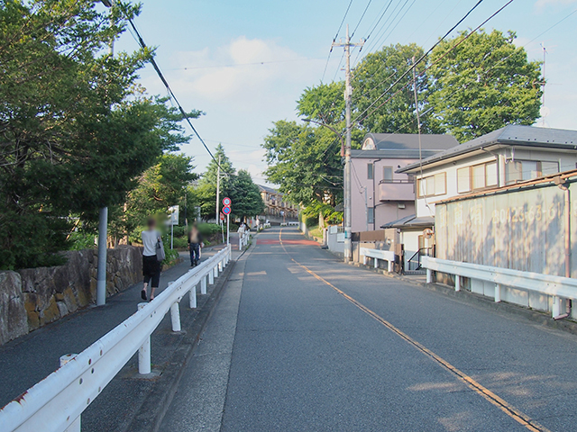 �춿�����NO.486��1+