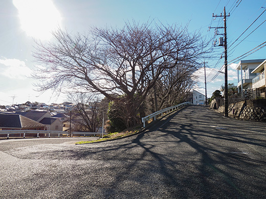 聖蹟桜ヶ丘の天守台(関戸城跡)の階段と坂道8
