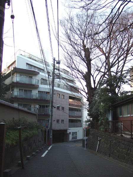 本氷川坂 (NO.130) 1