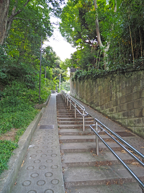 胸突坂【NO.555】2