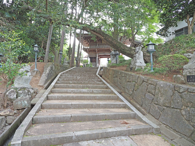 �ֱ�߷�� ������פκ�ƻ�ȳ��ʡ���¿�෴���ν�Įʿ��3