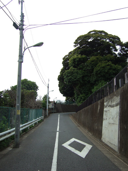 車坂(NO.227)9