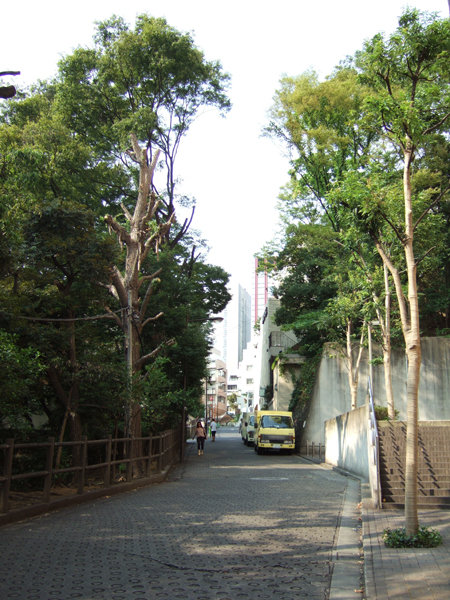錦華坂(NO.217)5