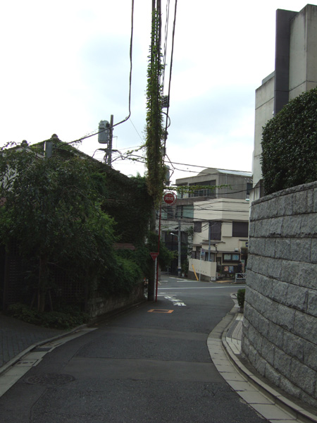 榎坂(NO.174) 3