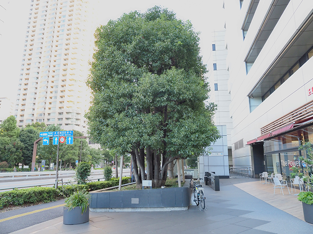 Honda青山ビル建て替えへ3