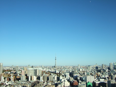 文京シビックセンターからの富士山3