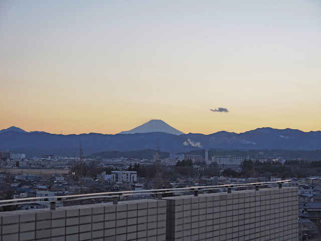 �����゙�塼��゚�������������ۡ��뤫����ٻλ��ڤȤ��볹������417��4