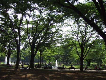 初夏の代々木公園