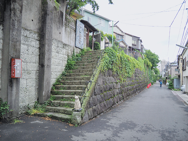 ������NO.495��3+