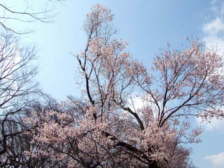 �դޤ������塹�ڸ���2