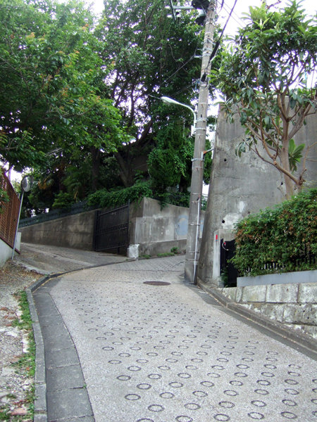 �ᤰ�ߺ��NO.230��10