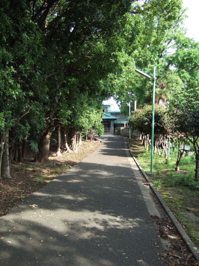 子安八幡神社のスロープ3