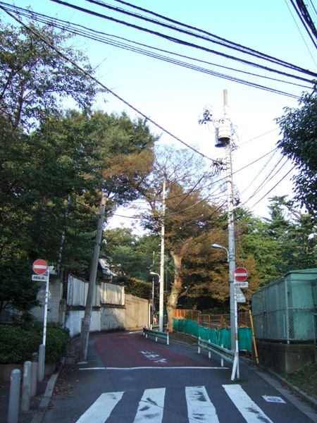 ���ں�(NO.154)7