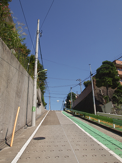 ���ܻ����ܤκ� [����ٻθ���]��NO.257��7