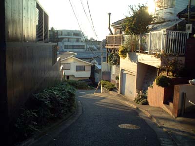 fujisaka14_sakatyu