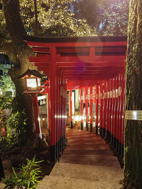 乃木神社境内にある赤坂王子稲荷神社の階段2