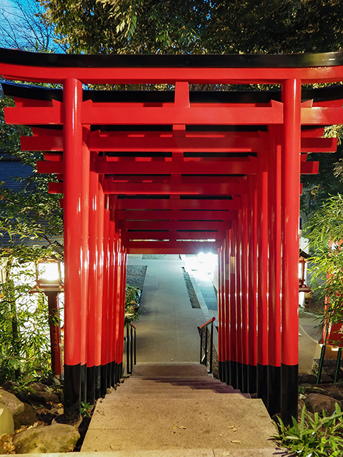 乃木神社境内にある赤坂王子稲荷神社の階段3