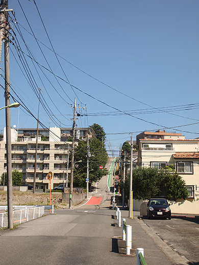 ���ܻ����ܤκ� [����ٻθ���]��NO.257��1