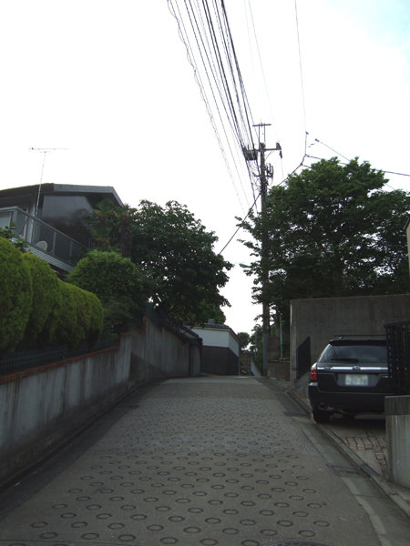 �ᤰ�ߺ��NO.230��6