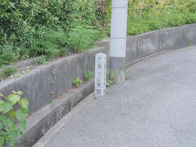 山麗リボンの道の坂道と眺望【とある街の風景384】1