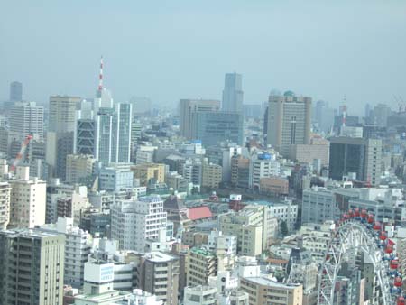 文京シビックセンターの展望台3
