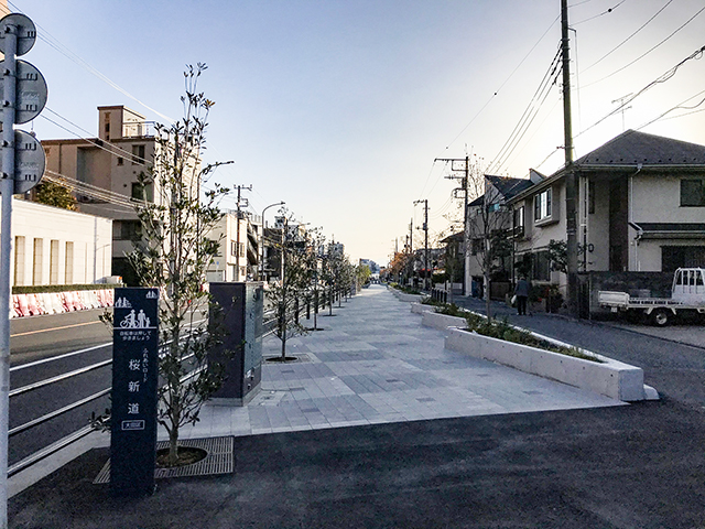 ふれあいロード桜新道からの富士山ビュー1