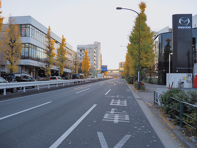 どぜむ坂(NO.375)3