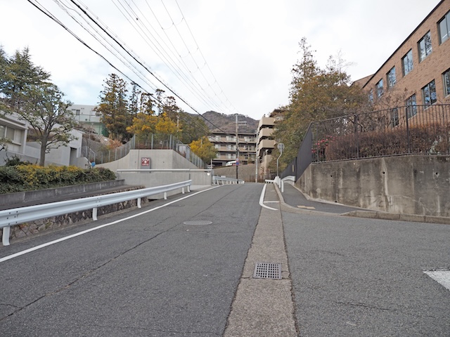 ����NO.729��1