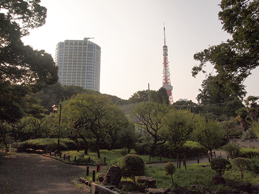 芝丸山古墳界隈の高低差7