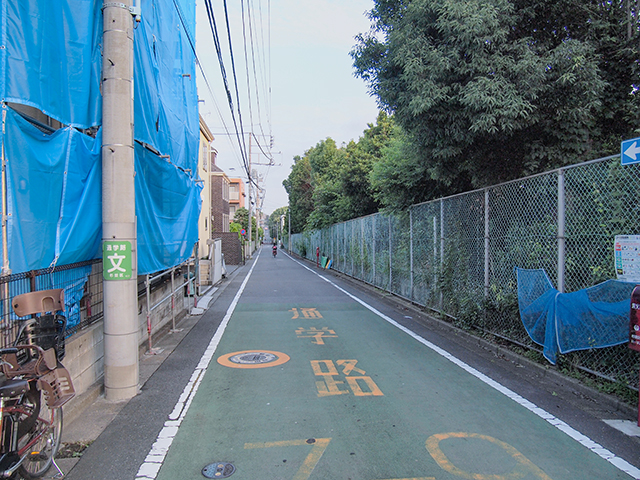 �Ͼ���NO.445��1+
