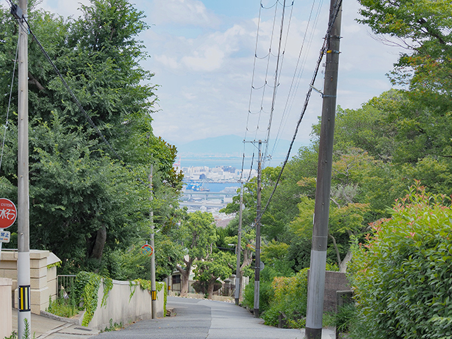 山麗リボンの道の坂道と眺望【とある街の風景384】3