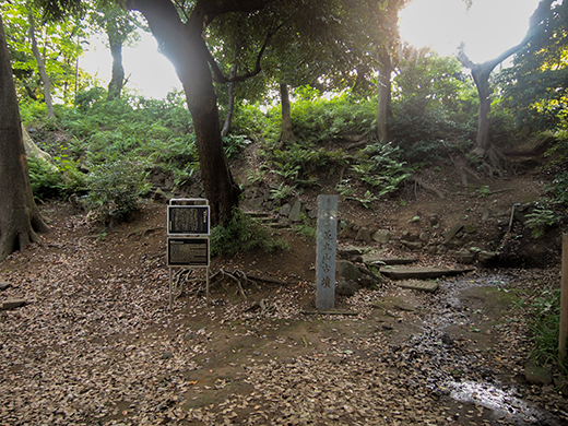 芝丸山古墳界隈の高低差1
