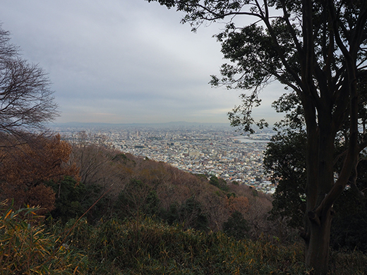 ��ƻ�ֵ���ƻ�פ��л�ƻ���⤤�Ƥߤ�_����2_9