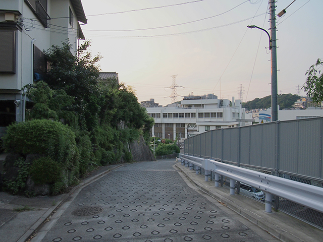 ��¢��� NO.388��3+